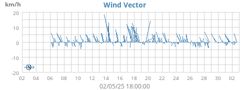 Wind Vector