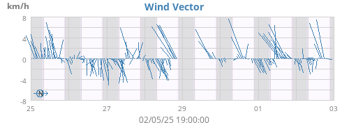 Wind Vector